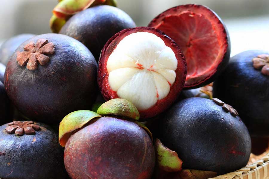 Top 10 des célèbres fruits au Cambodge : un festival de saveurs exotiques