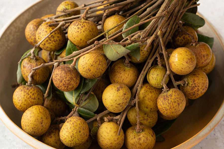 Top 10 des célèbres fruits au Cambodge : un festival de saveurs exotiques