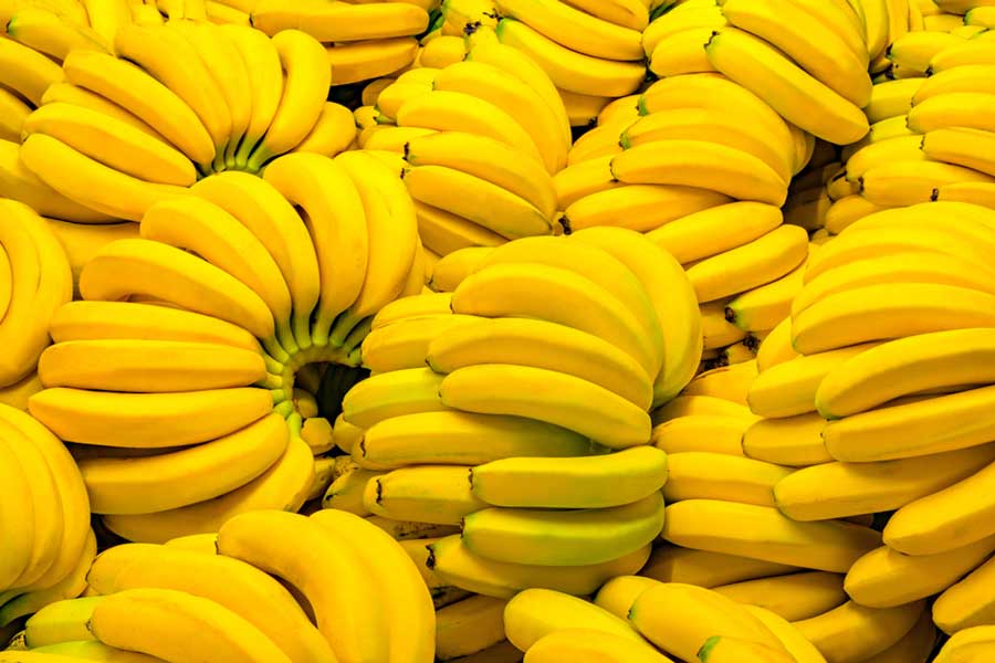 Top 10 des célèbres fruits au Cambodge : un festival de saveurs exotiques