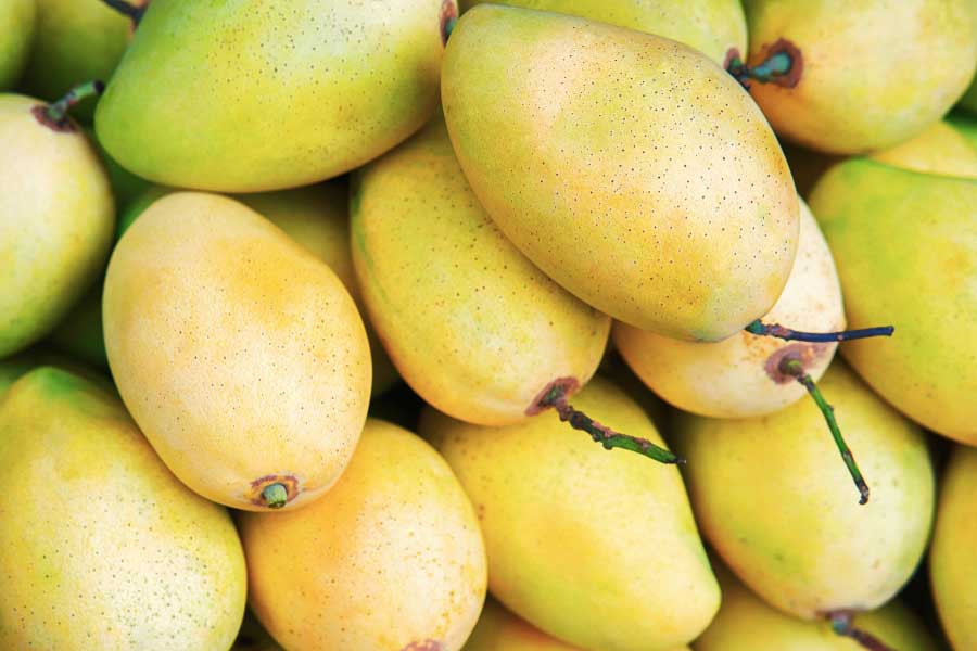 Top 10 des célèbres fruits au Cambodge : un festival de saveurs exotiques