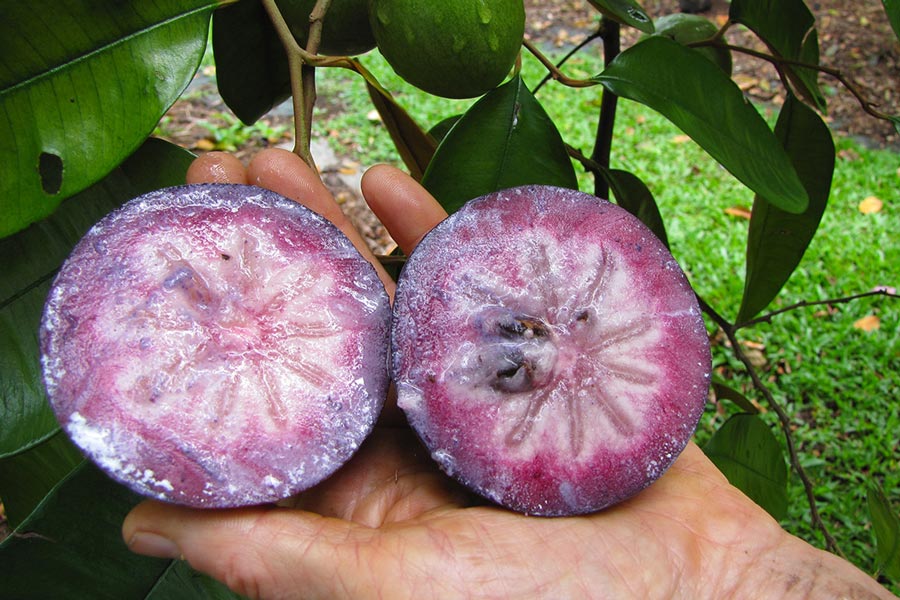 Fruits au Vietnam: Pomme étoile