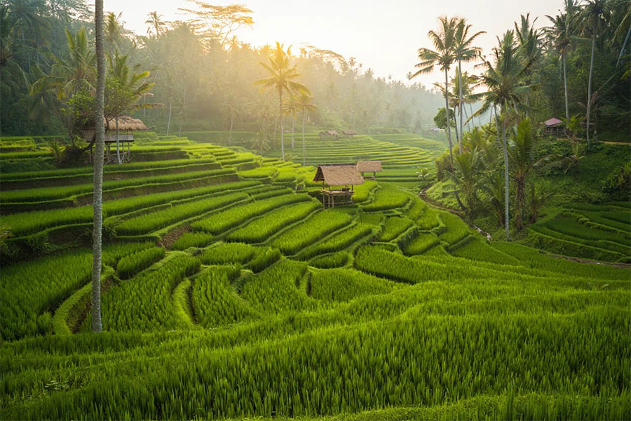 Que faire à Bali pendant 6 jours ?