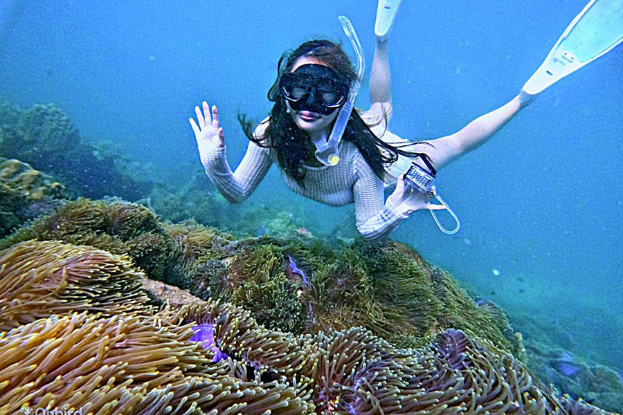 Exploration des fonds marins au large de Phu Quoc, une expérience inoubliable lors d’un séjour balnéaire au Vietnam
