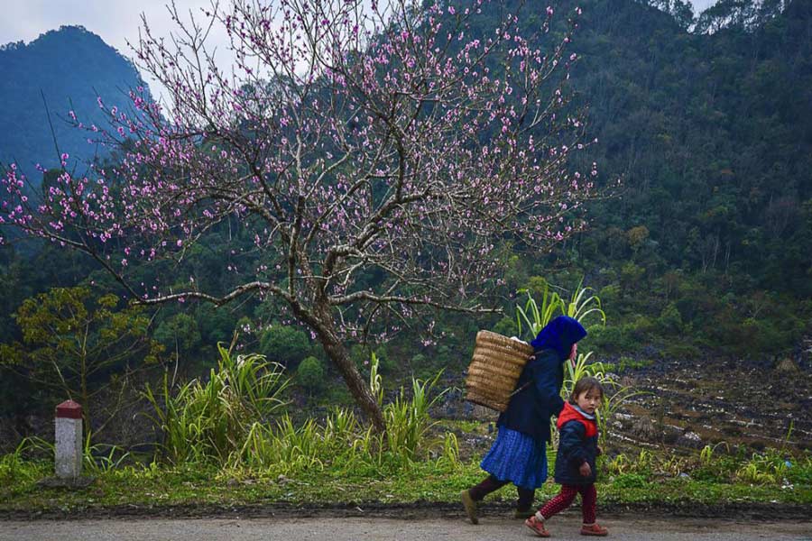 Itinéraire recommandé de voyage au Nord Vietnam en hiver