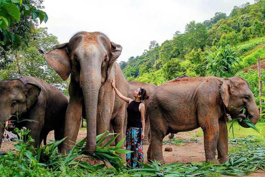 Itinéraire recommandé pour un voyage 10 jours en Thaïlande