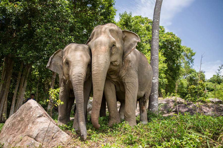 Itinéraire recommandé pour un voyage en Thailande 5 jours