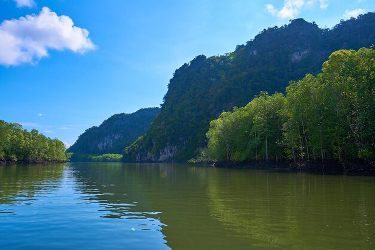 Forêt naturelle à 2 rives de la rivière