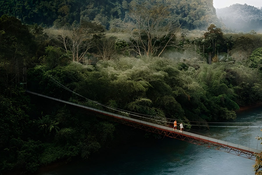 Le pont traverse les forêts de Khao Sok