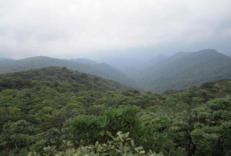 Paysages à couper le souffle du parc national Kon Ka Kinh