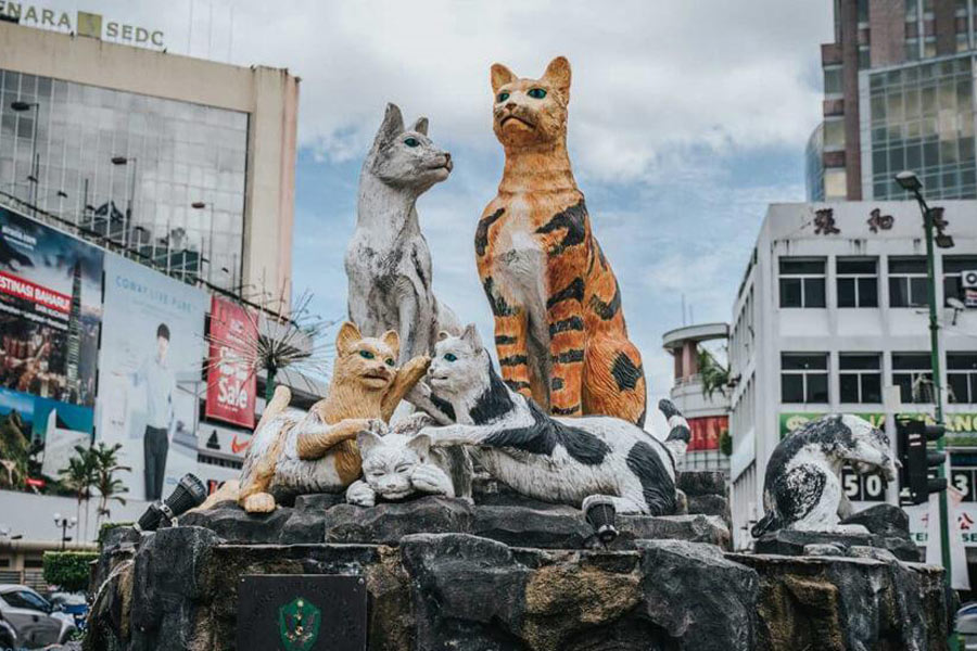 un coin du musée du chat
