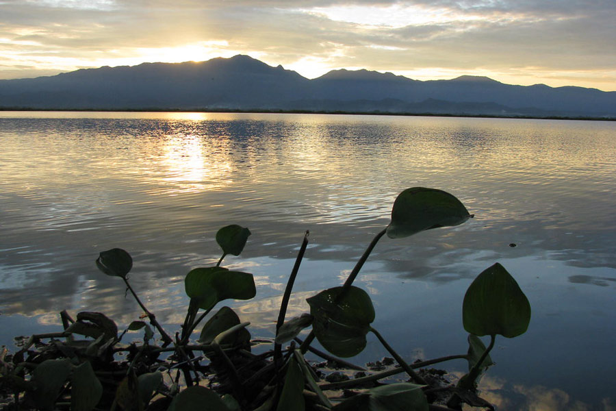 Les touristes peuvent aller au lac de Phayao tout au long de l'année