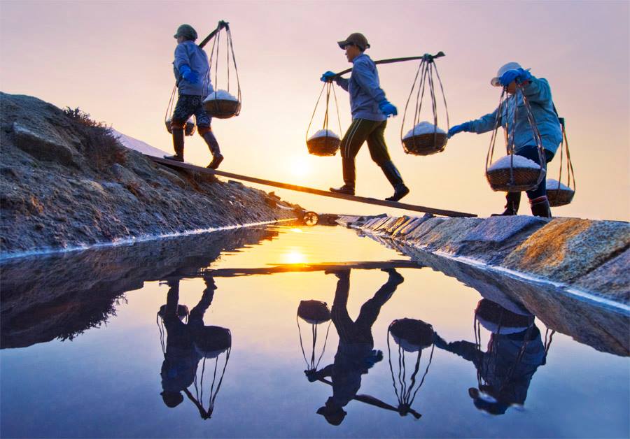 Champ de sel de Sa Huynh : 100 ans de beauté simple de la région de Quang