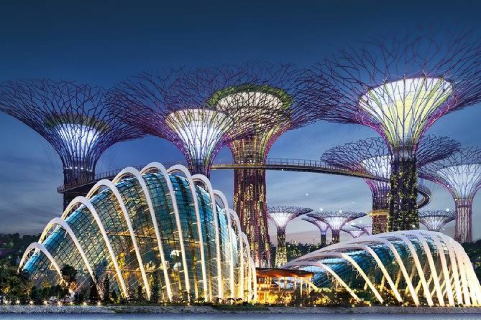 Les gardens by the Bay est l'un des meilleures attractions en asie du sud-est