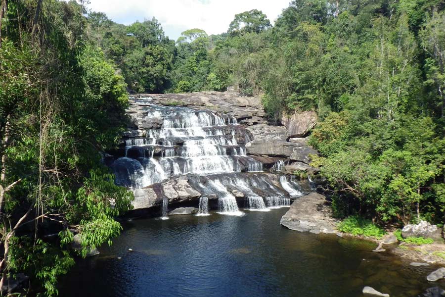 Les plus beaux parcs et réserves naturelles du Laos