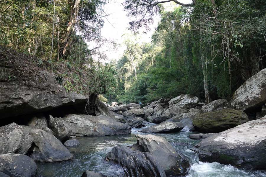 Les plus beaux parcs et réserves naturelles du Laos
