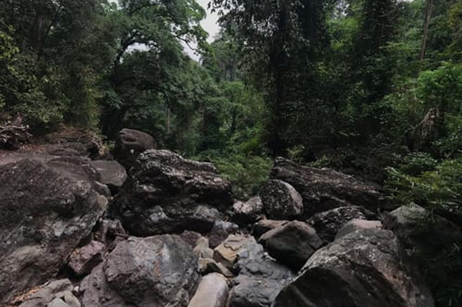 Les plus beaux parcs et réserves naturelles du Laos