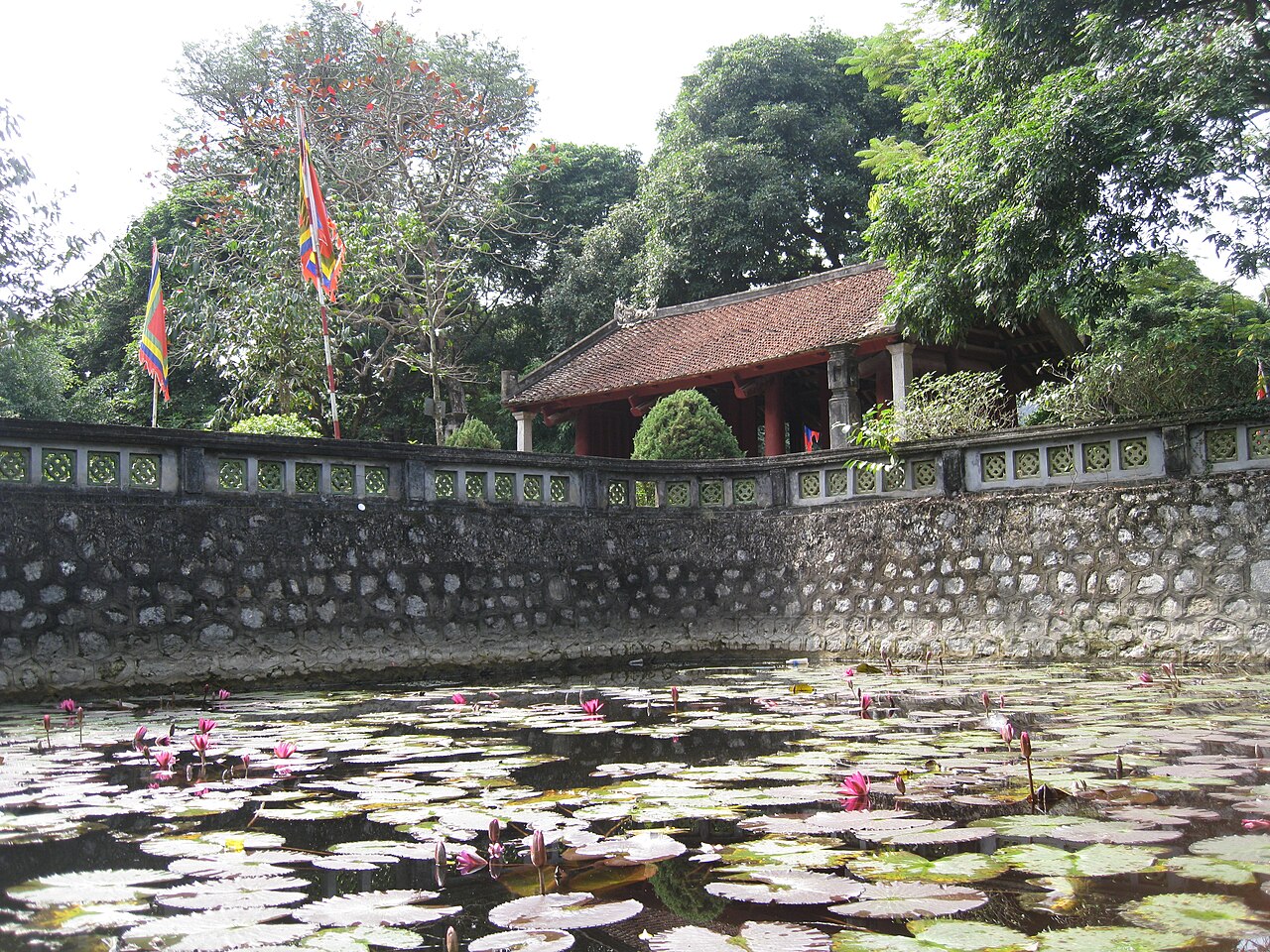 Bassin couvert de nénuphars devant le mur de pierre du temple du roi Đinh Tiên Hoàng
