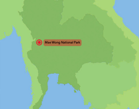 Parc national de Mae Wong se trouve au nord de la Thailande