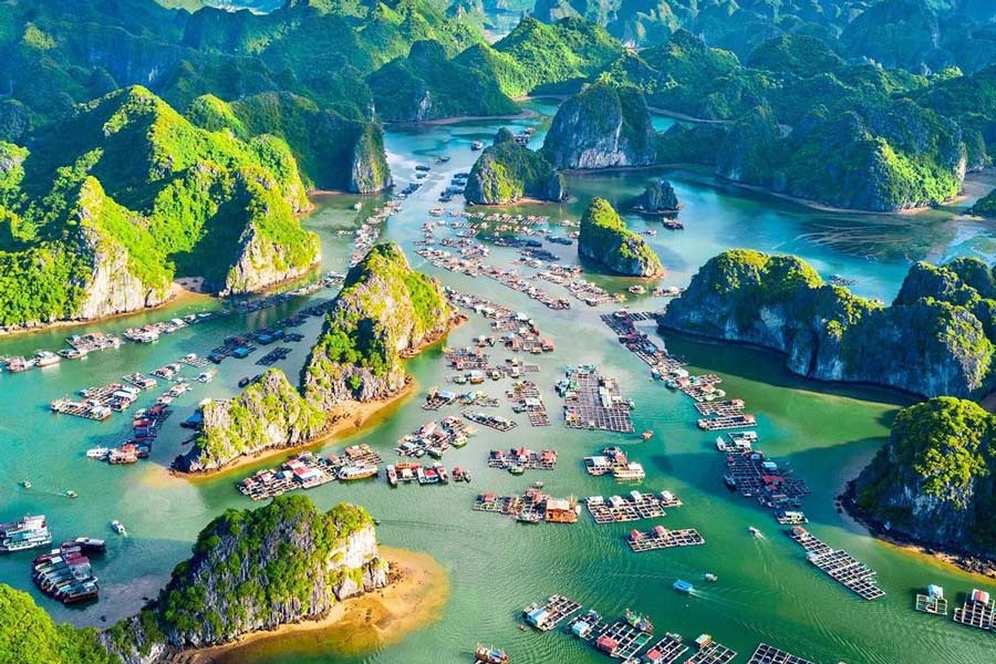 Meilleurs hôtels à Cat Ba