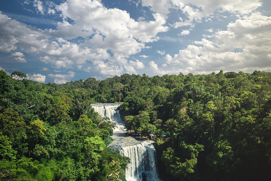 La forêt tropicale et faune tropicale à Mondulkiri