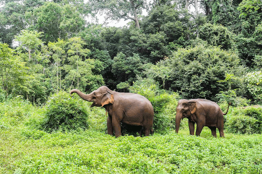 La région du Mondolkiri