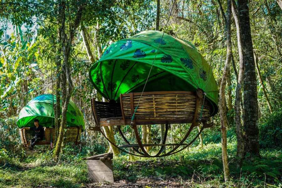 Les chambres uniques dans l'aire protégée de Nam Et-Phou Louey