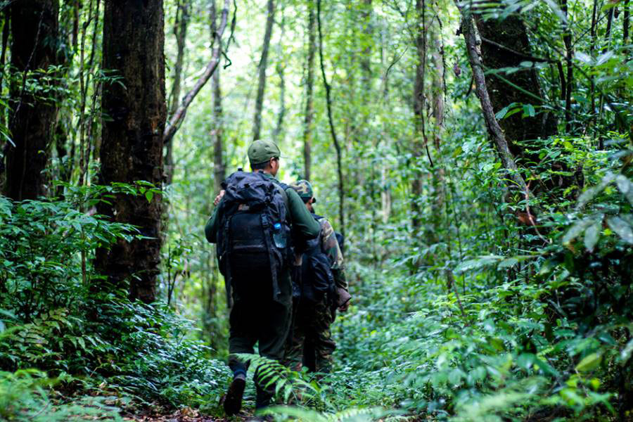 Trekking avec guide local à Nam Et Phou Louey