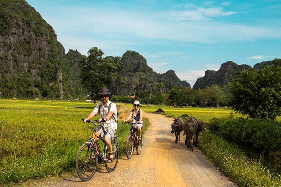 Évasion à vélo au cœur de la campagne de Ninh Binh