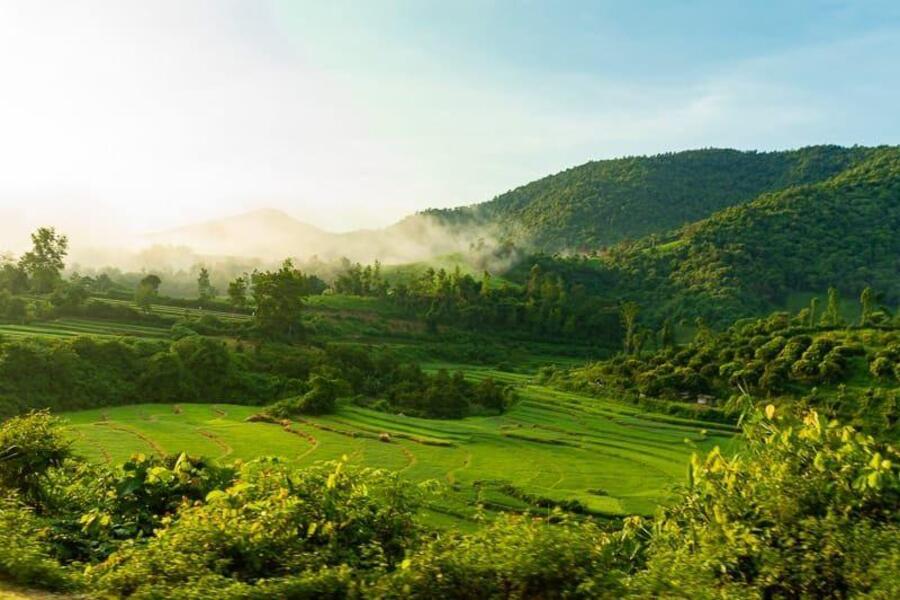 Climat du Nord du Vietnam est marqué par quatre saisons distinctes