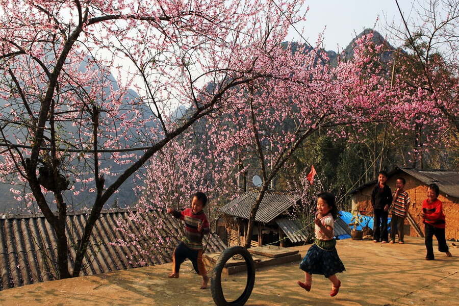 Printemps marque le renouveau de la nature dans le Nord du Vietnam