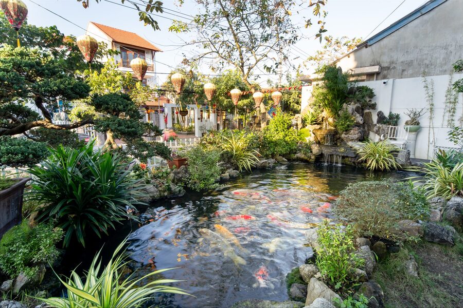 Hoi An Riverside Garden Homestay offre hospitalité vietnamienne