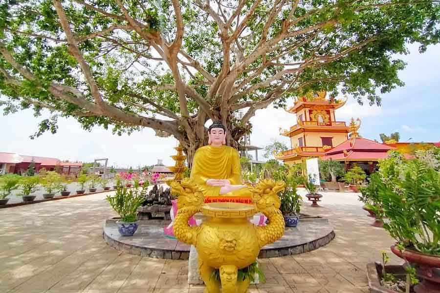 Jardin des statues de Bouddha est un symbole de la pagode Van Phuoc