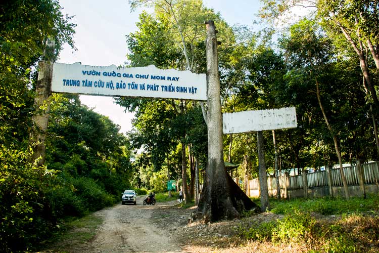 Parc national de Chu Mom Ray est une attraction incontournable lors de votre voyage à Kon Tum