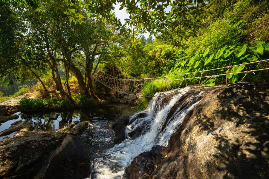 Parc national de Khao Yai : La deuxième meilleure destination rurale d'Asie selon Agoda