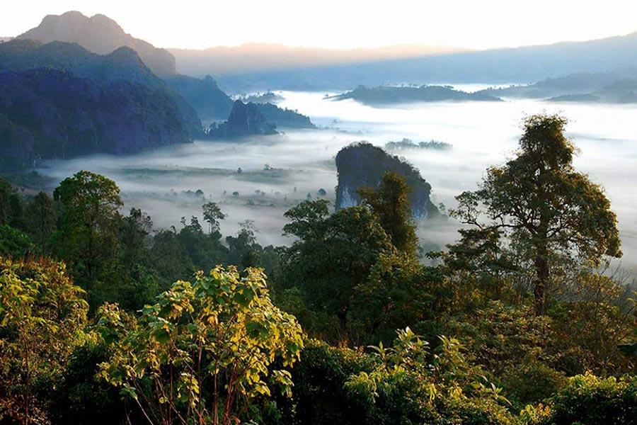 Le parc national de Phu Lang Ka 