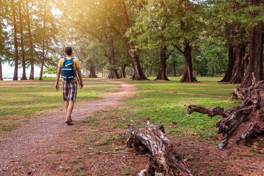 La randonnée au parc national de Sirinat est une expérience inoubliable pour les touristes