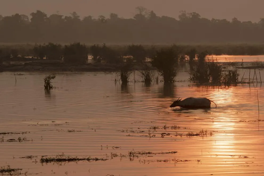 Beung Kiat Ngong offre une facette apaisante et poétique des parcs nationaux au Laos