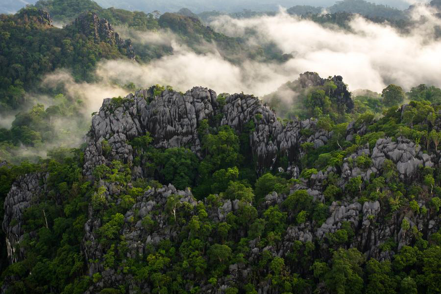 Hin Nam No figure parmi les parcs nationaux au Laos