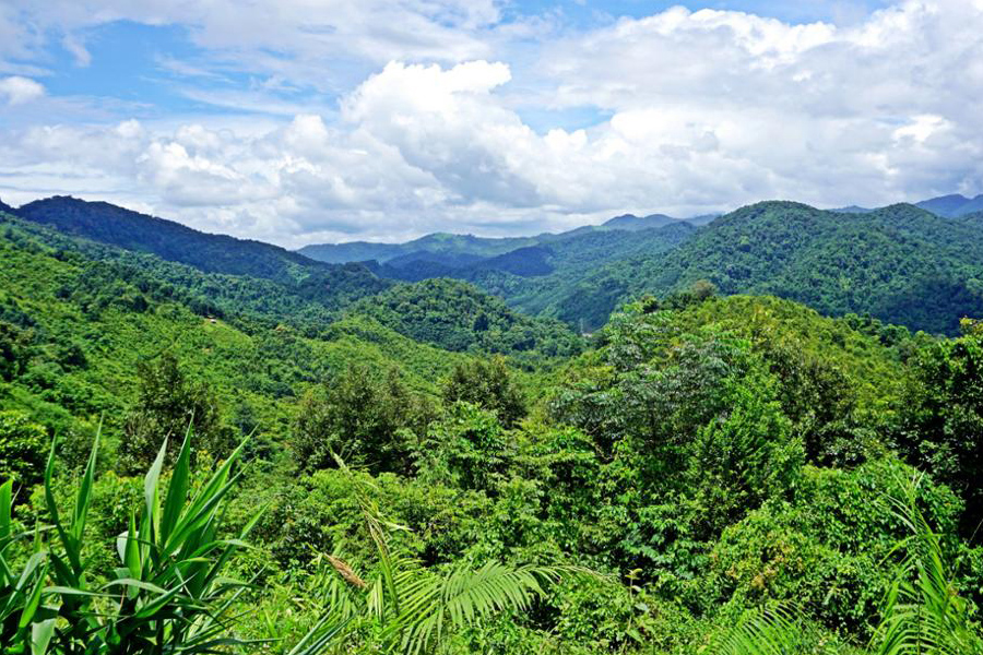 Nam Ha représente phare des parcs nationaux au Laos