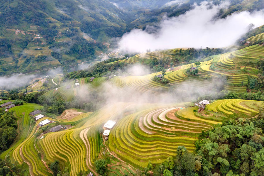 Les rizières en gradins de Phong Du Thuong