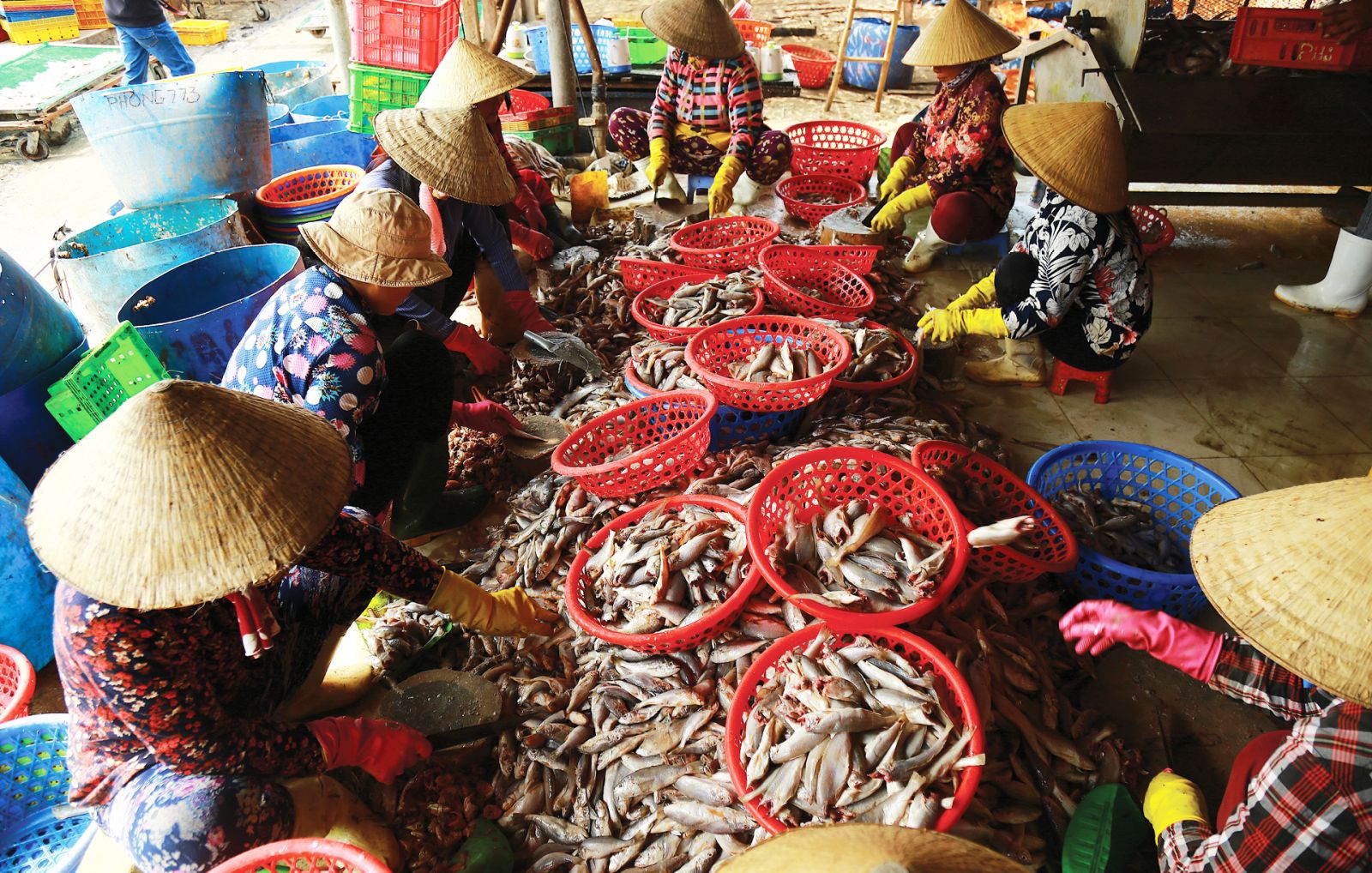Les marchés locaux de la plage de Phuoc Hai est animé tous les jours