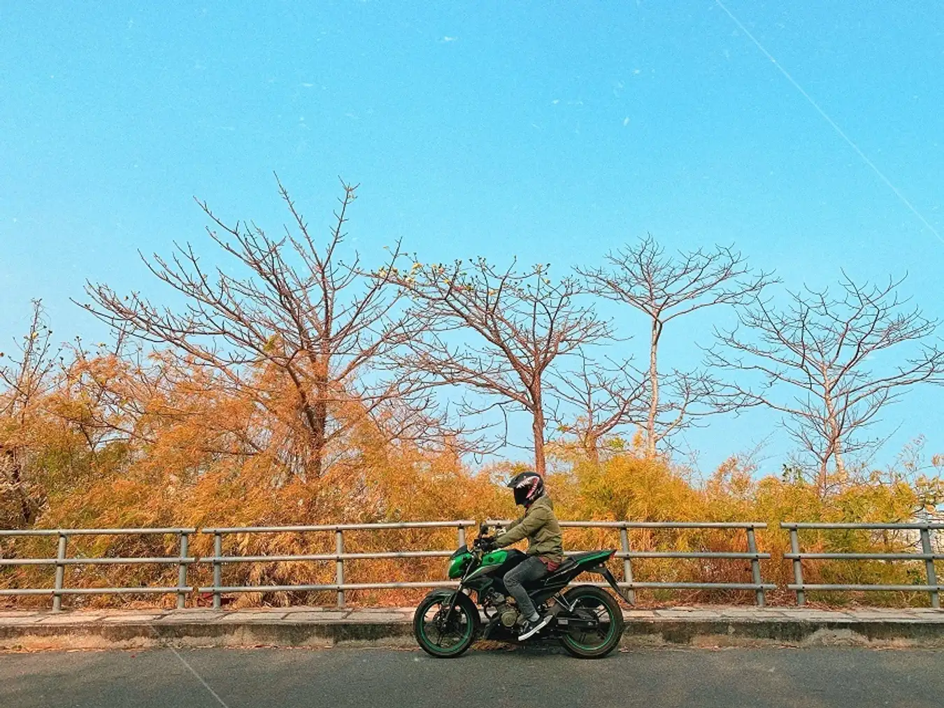 Pour prolonger vos vacances à la plage Phuoc Hai, rien ne vaut une escapade à moto le long de la côte.