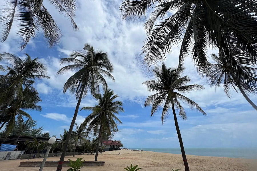 Détente sous les palmiers de la plage de Panare, bercé par le bruit des vagues