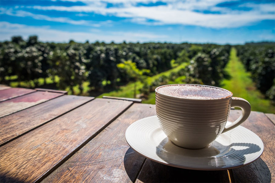 N'oubliez pas de boire une tasse de café local à Paksong