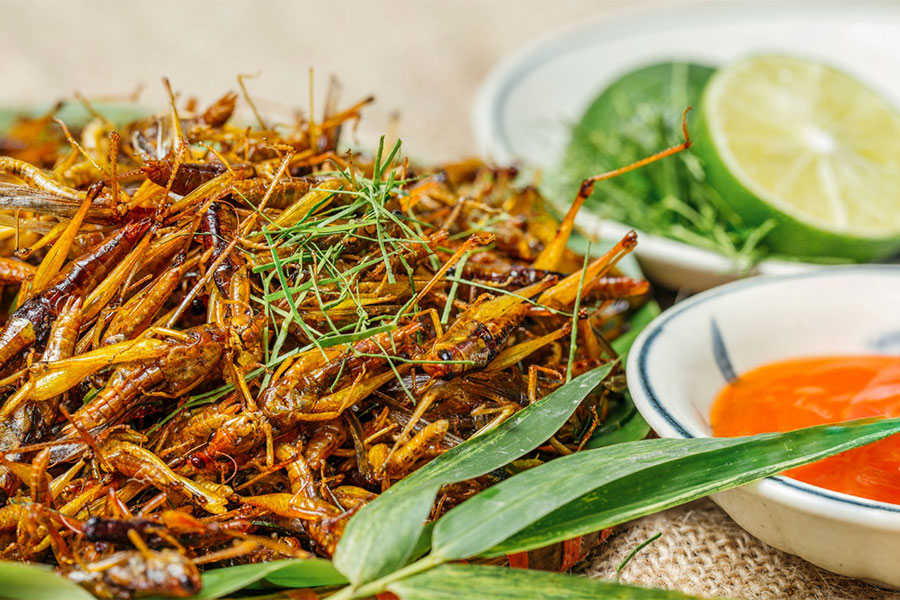 Criquet grillés - l'un des plats bizarres au Vietnam
