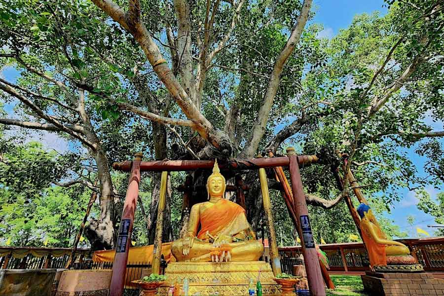Wat Ton Pho Si Maha Bodhi à Prachinburi