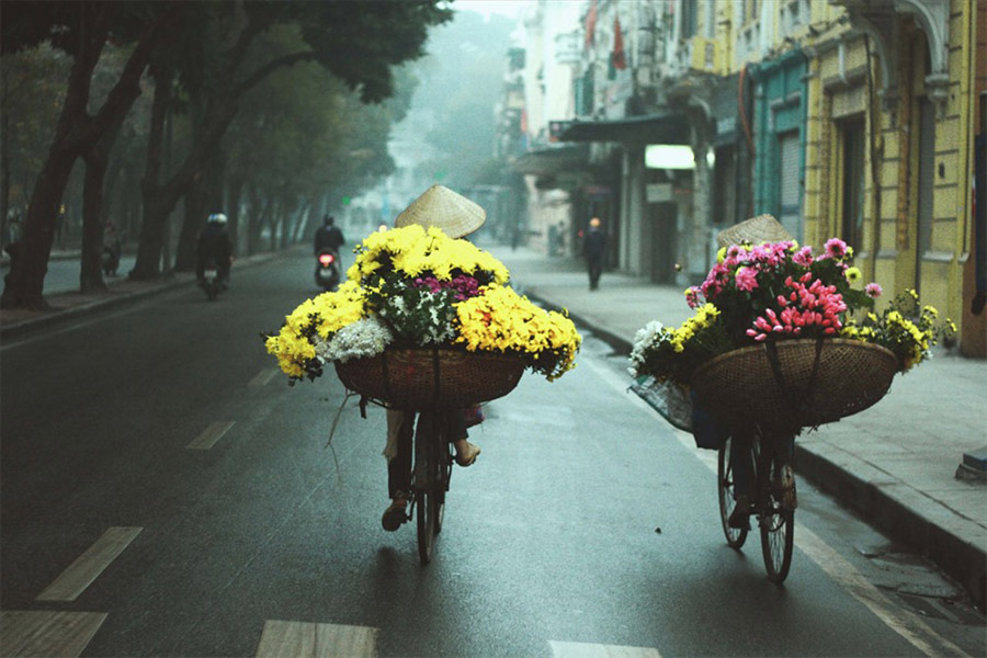 Printemps à Hanoi se caractérise par de plusieurs types de fleurs 
