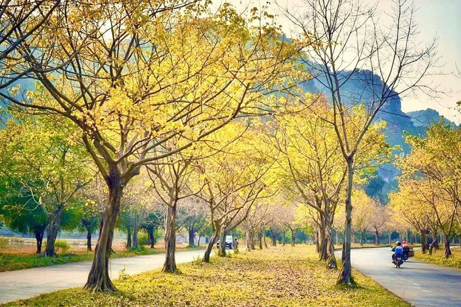Ninh Binh entre au début de l'été