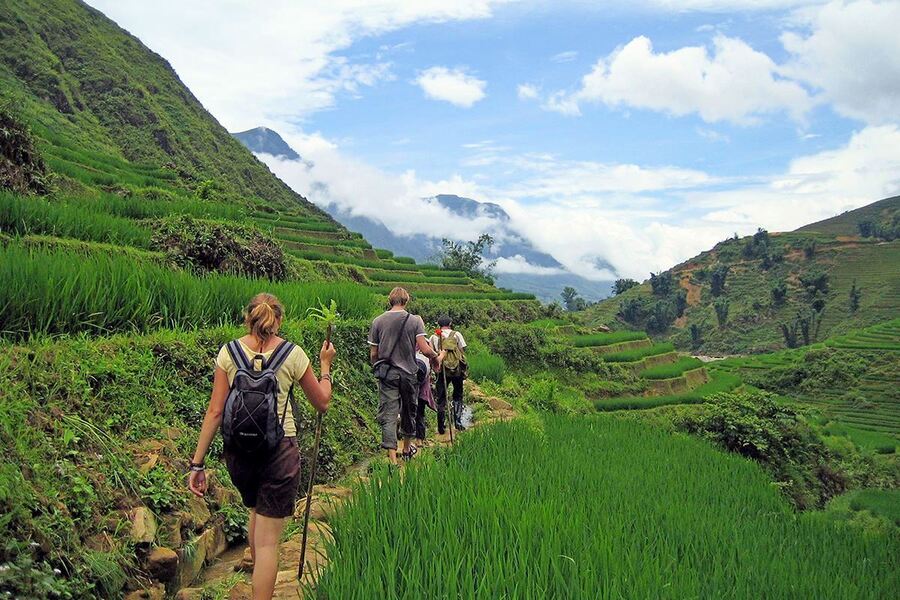 Quand on se demande que faire à Sapa, le trekking à travers les rizières en terrasses arrive toujours en tête de liste