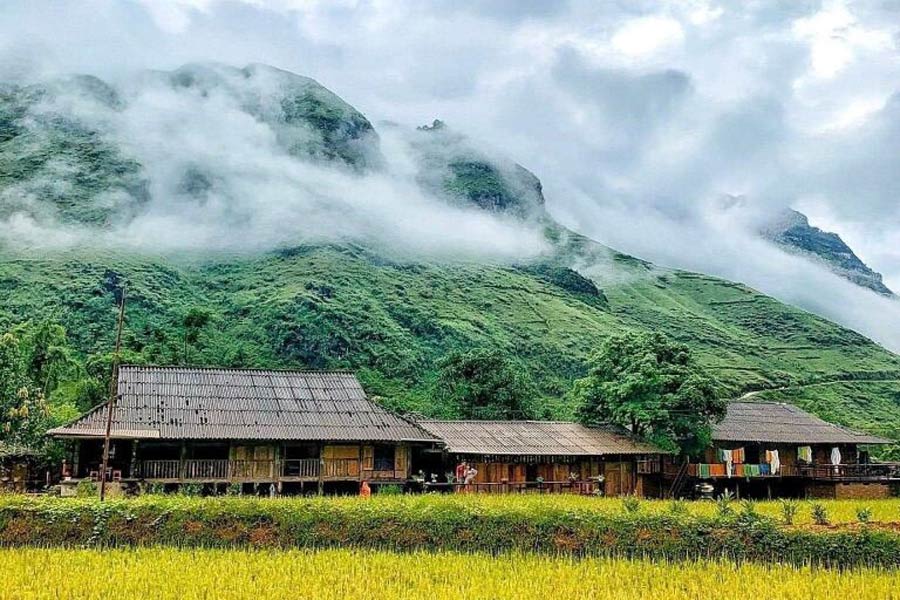 raisons incontournables de voyager à Ha Giang en hiver